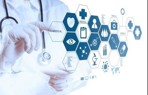 猫九视角 洞察大健康产业发展趋势，赋能信息咨询服务新篇章